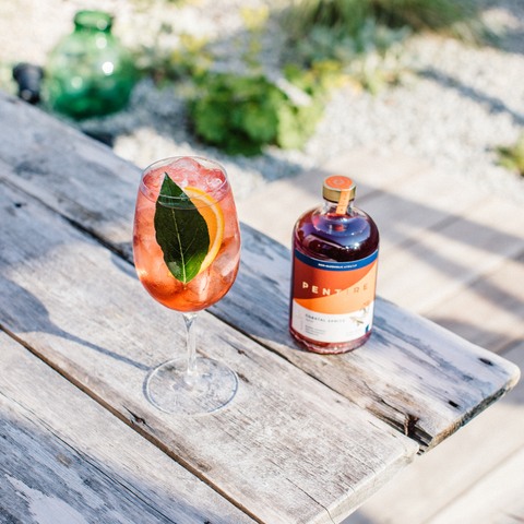 Pentire Coastal Spritz Liquor